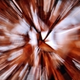 Illustration for article titled Zoom Photo Challenge Gallery 2